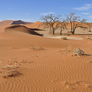 Namib